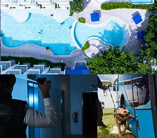 Activit&eacute;s traditionnelles :